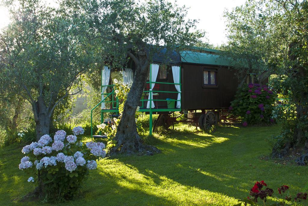 Azienda Agricola Della Mezzaluna Stiava Exterior photo
