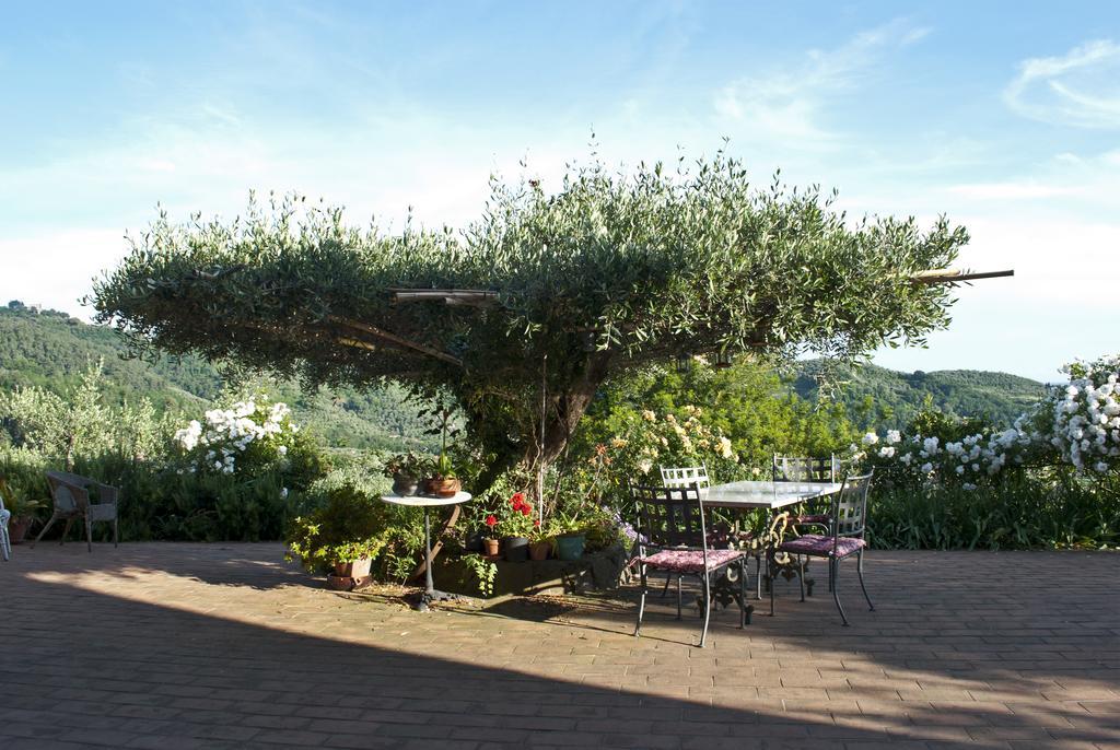Azienda Agricola Della Mezzaluna Stiava Exterior photo